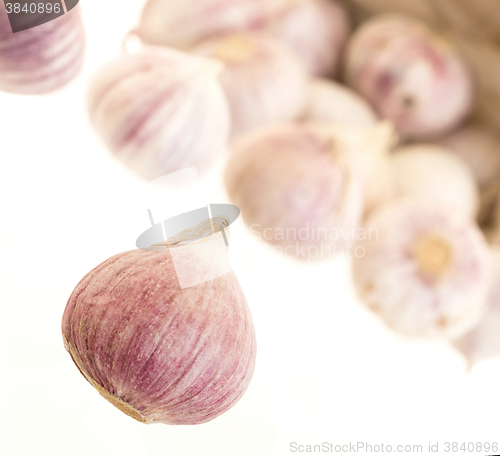 Image of Raw garlic (small) isolated