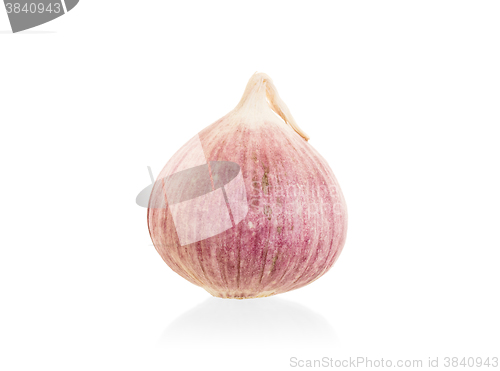 Image of Raw garlic (small) isolated