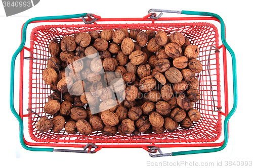 Image of fresh natural walnuts