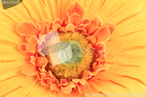 Image of yellow textile flower background