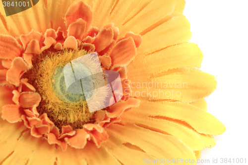 Image of yellow textile flower background