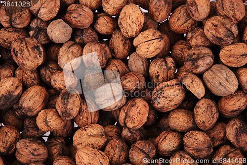 Image of natural wallnuts background