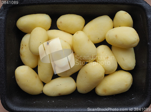 Image of Potato vegetables in a tub