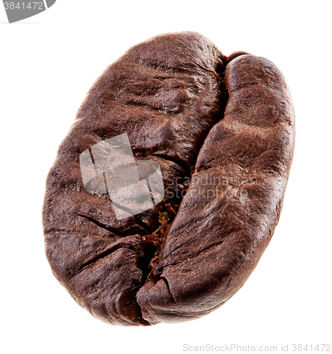 Image of coffee bean macro