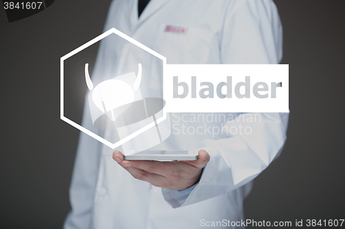 Image of Doctor working on a virtual screen. medical technology concept. bladder