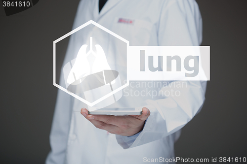 Image of Doctor working on a virtual screen. medical technology concept. lung