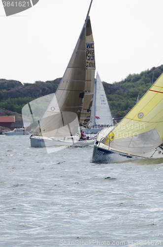 Image of one sail competition on swedish westcoast