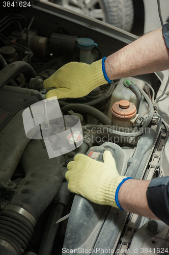 Image of Repairing automotive body