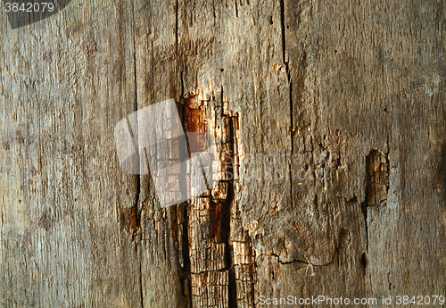 Image of wood texture with natural pattern