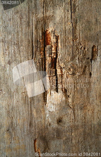 Image of wood texture with natural pattern