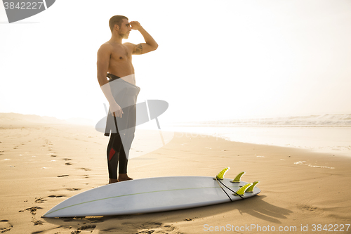 Image of Searching for the swell