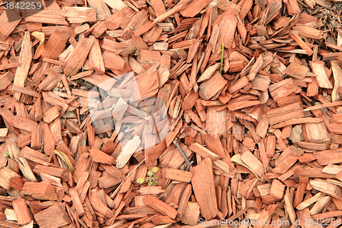 Image of wooden chips texture