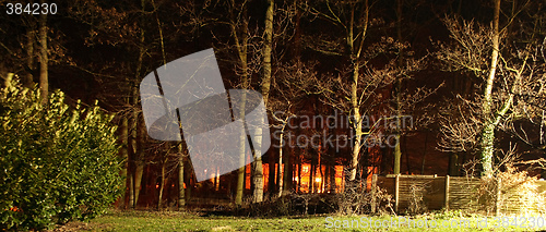 Image of trees lit by lights at nighttime