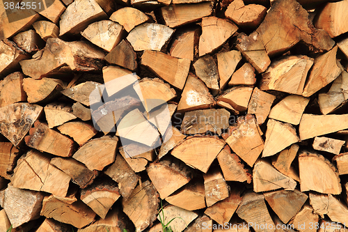 Image of nice firewood texture 