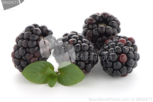 Image of Blackberries with leaves