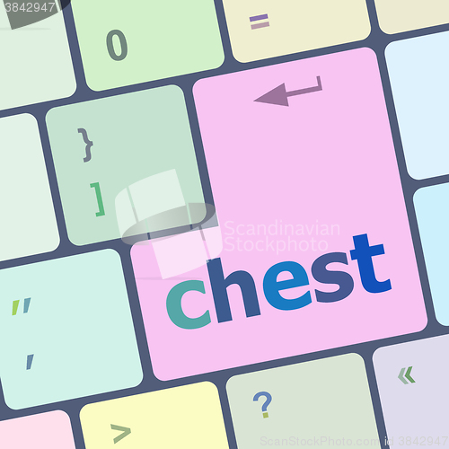 Image of chest word on keyboard key, notebook computer button vector illustration