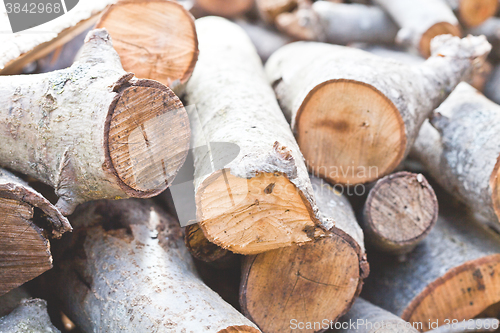 Image of dry chopped firewood