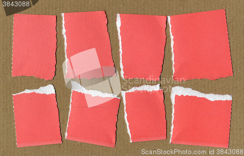 Image of Red Torn paper pieces