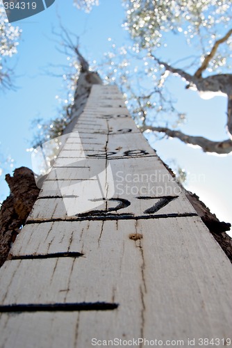 Image of height marker