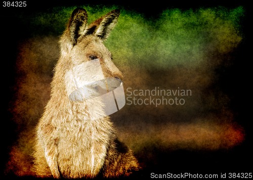 Image of grunge kangaroo