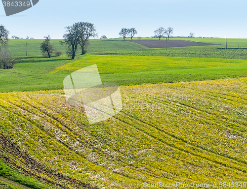 Image of rural spring time scenery