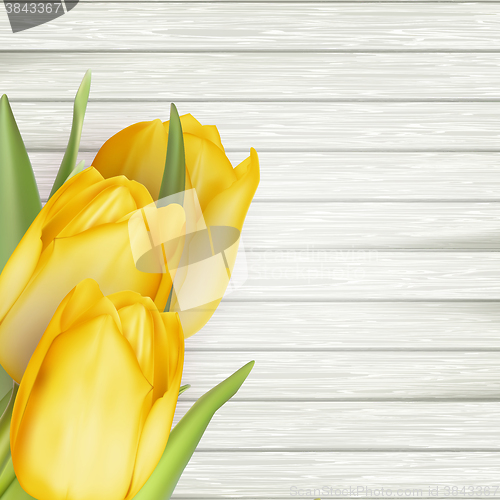 Image of Yellow tulips. EPS 10