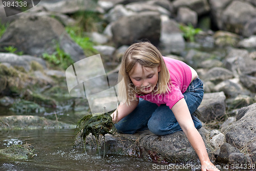 Image of helping the environment