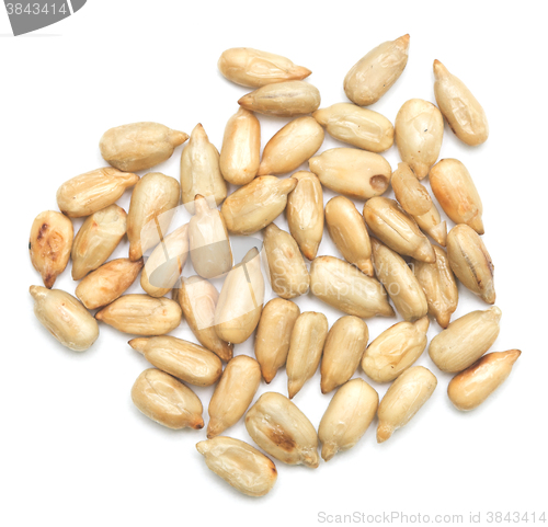 Image of sunflower seeds on white