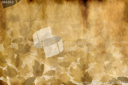 Image of old worn leafy parchment