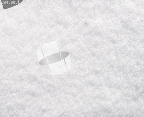 Image of fresh snow texture