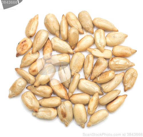 Image of sunflower seeds on white