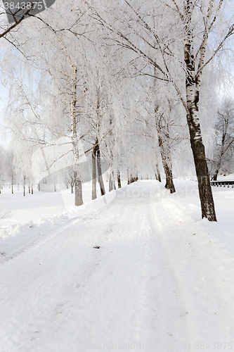 Image of winter road . track.