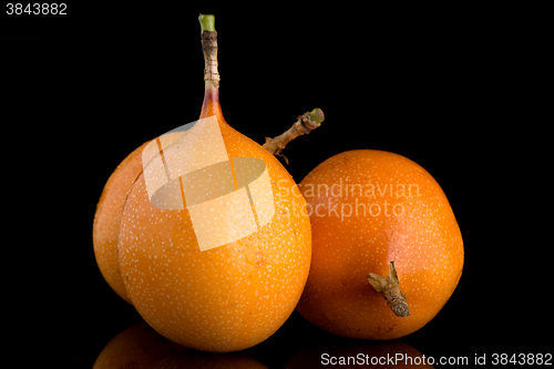 Image of Passion fruit maracuja granadilla