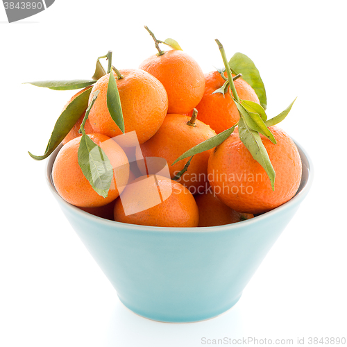 Image of Tangerines on ceramic blue bowl 