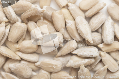 Image of peeled sunflower seeds