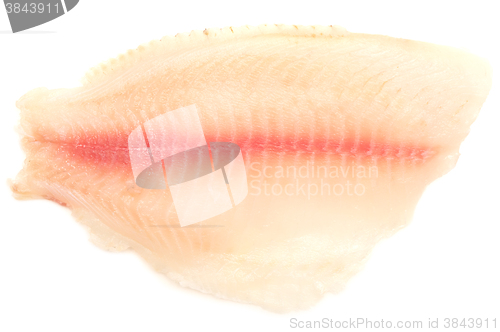 Image of raw fish fillet