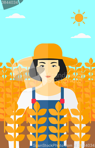 Image of Man in wheat field.