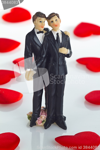 Image of Gay Wedding