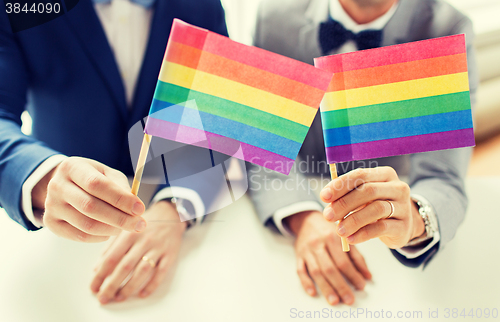 Image of close up of male gay couple holding rainbow flags