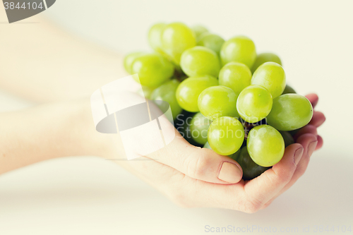 Image of close up of woman hands holding green grape bunch