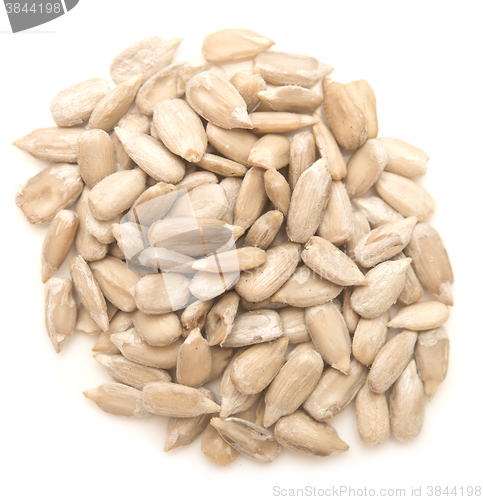 Image of peeled sunflower seeds