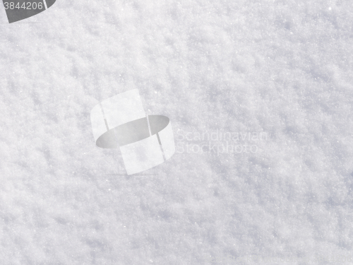 Image of fresh snow texture