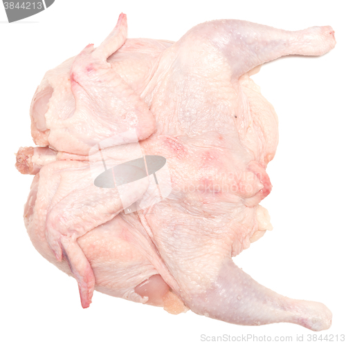 Image of raw chicken on white