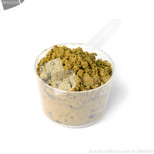 Image of hemp protein powder