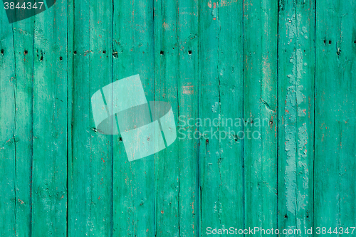 Image of Old green cracked paint on wooden background