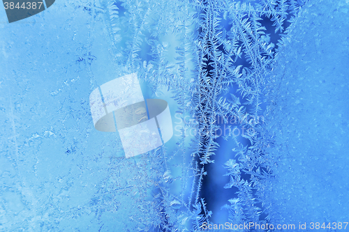Image of Beautiful ice pattern on winter glass