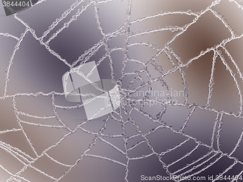 Image of Cracked and Splitted glass with colorful gradient light