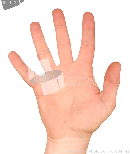 Image of Hand