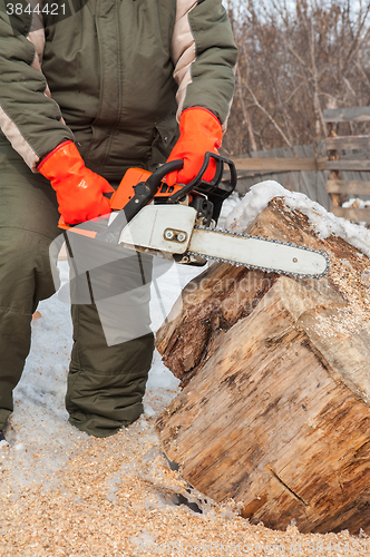 Image of Carpenter working at sawmill 