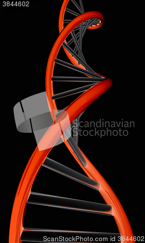 Image of DNA structure model